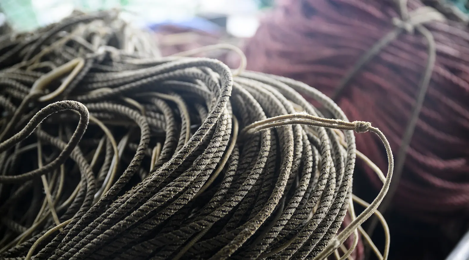 Coil of Fishing Vessel Rope